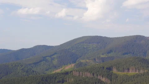 Deforestation. Natural Disaster. Stock Footage 88994878