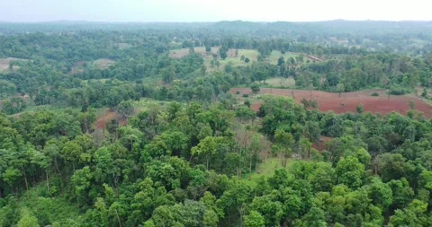 Deforestation of Primary Forest, Eastern Ghats India|Tropical Forest Agriculture Stock-Footage 152519672