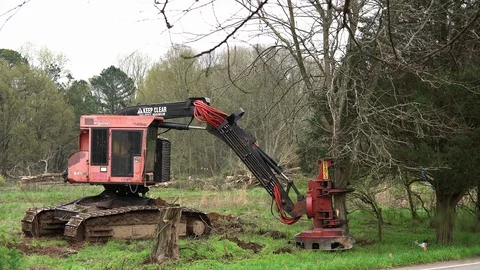 Deforestation by Real Estate Developer Cutting Down Trees for Neighborhood Stock Footage 127125197