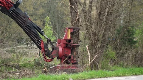 Deforestation by Real Estate Developer Cutting Down Trees for Neighborhood Stock Footage 127141935