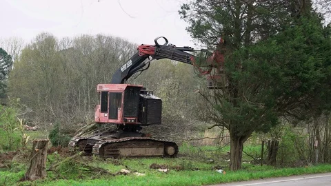 Deforestation by Real Estate Developer Cutting Down Trees for Neighborhood Stock Footage 127142680