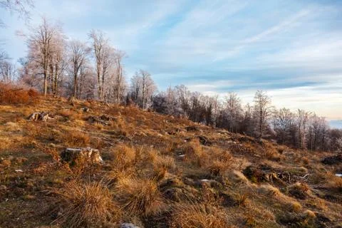 Deforestation in Romania Stock Photos