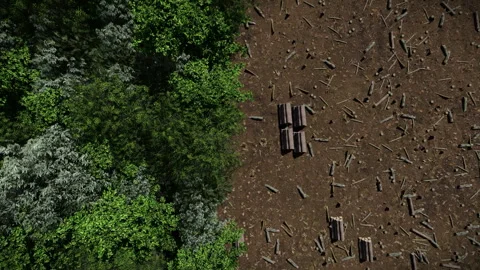 Deforestation seen from a high angle, logs and trucks loaded with wood Stock Footage 275011488