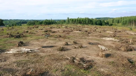 Deforestation showing land clearing for construction site and forest degradation 库存影片 312121911