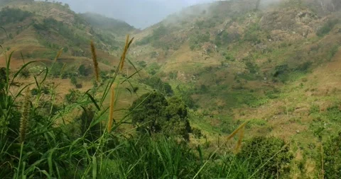 Deforestation on the slope of Uluguru mt Stock Footage 159354458