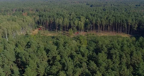 Deforestation special equipment, view from the drone. The work of forest Vidéo 104515733