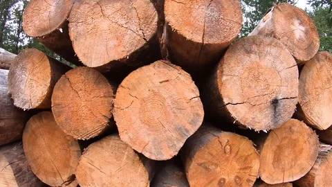 Deforestation, stove woods in wood stack closeup, woodwork Stock Footage 114893541