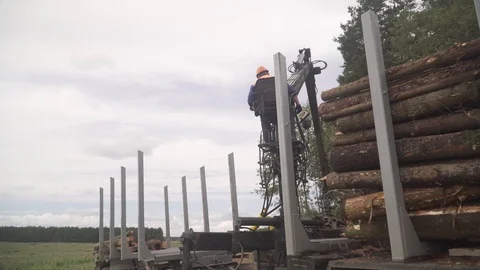 Deforestation, timber plant, ecology, timber production Stock Footage 114415345