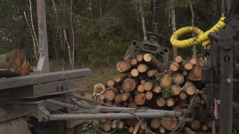 Deforestation, timber plant, ecology, timber production Stock Footage 114415375