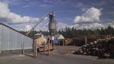 Deforestation, timber plant, ecology, timber production Stock Footage 114415751