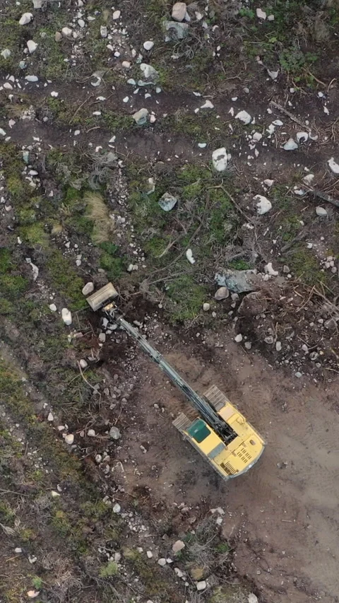 Deforestation - Top Down Overhead Aerial Excavator Clearcutting Forest Vertical Stock Footage 291089392