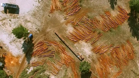 Deforestation Top View Stock Footage 146172757