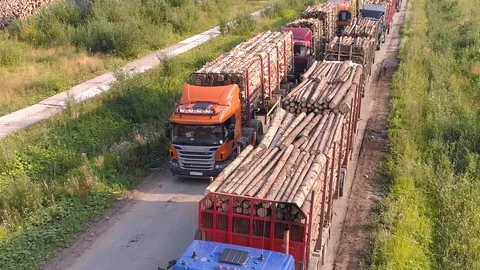 Deforestation. Transportation of cut down forest Stockbeeldmateriaal 126909944