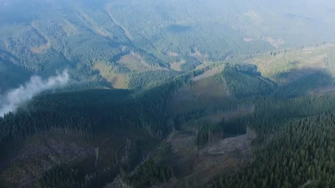 Deforestation under the Syvulya mountain in the Carpathians. Stock Footage 171446771