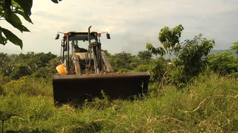Deforestation Urbanization 01 Stock Footage 24844415