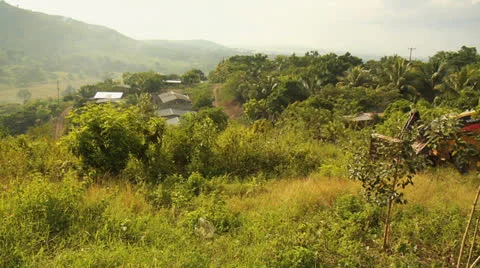 Deforestation Urbanization 03 Stock Footage 24844616