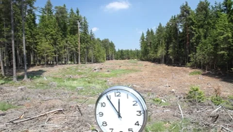 Deforestation - Warning of climate change Vídeos de archivo 8622755