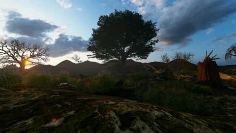 Deforested forest with single green tree Video stock 171453561