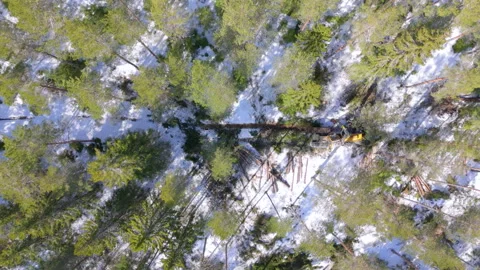 Deforesting by harvester navigating snowy forest track in Sweden. Winter Stock Footage 271251558