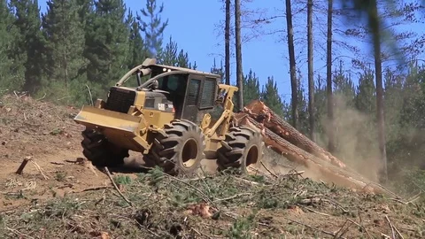 Deforesting machine Видео 77049567