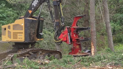 Deforesting machine Vídeos de archivo 77049626