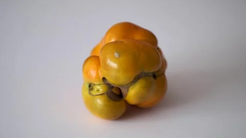 A deformed, imperfect vegetable with a natural shape, a yellow tomato, rota.. Stock Footage 329695758