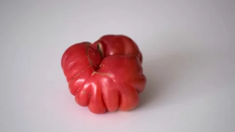 A deformed, imperfect vegetable with a natural shape, a red tomato, rotates.. Video stock 331254955