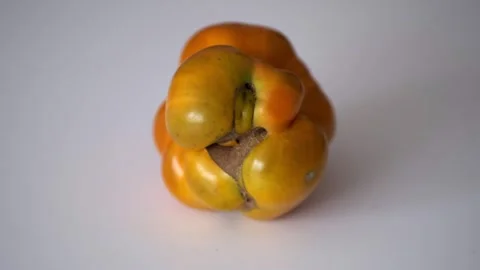 A deformed, imperfect vegetable with a natural shape, a yellow tomato, rota.. Stock Footage 331255004