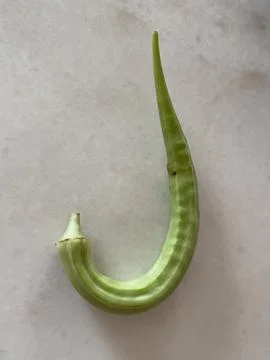 Deformed J Shape Okra Abelmoschus Esculentus On White Background Foto stock