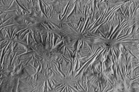 Deformed Polystyrene Stock Photos