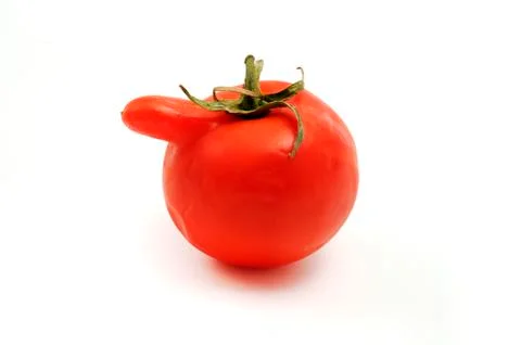 Deformed tomato Stock Photos