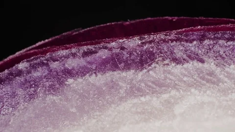 Defrosting Onion Stock Footage 77427567