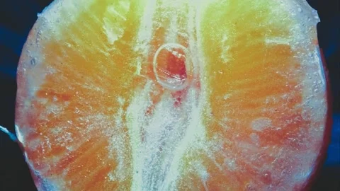 Defrosting orange Video stock 233198941