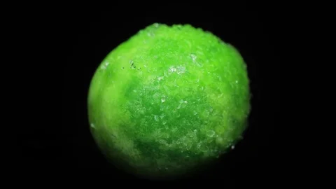 Defrosting Pea Stock Footage 77427355