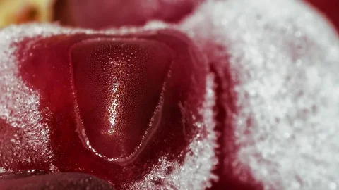 Defrosting Pomegranate Stock Footage 77579942