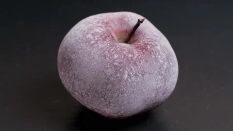 Defrosting red apple on a black background Stock Footage 143803917