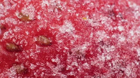 Defrosting Strawberry Stock Footage 77427359