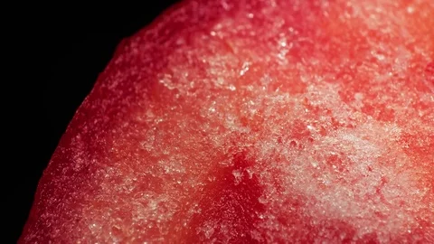 Defrosting Tomato Stock Footage 77427583