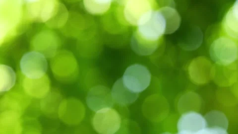 Defused shiny green lights Stock Footage 276223955