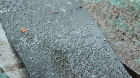 Deg strewed on the ground Stock Footage 50366657