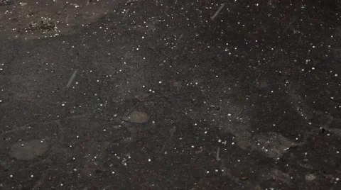 Deg strewed on the ground Stock Footage 50374671