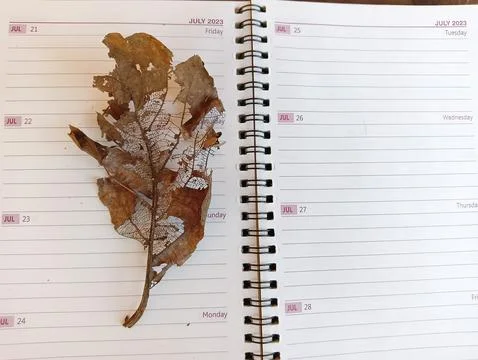Degraded leaf on notepad  Foto stock