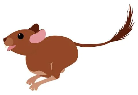 Degu squirrel rodent pet. Vector cartoon illustration Stock Illustration