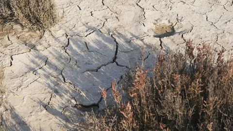 Dehydrated dry soil in the desert Stock Footage