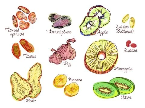 Dehydrated fruit set Stock Illustration