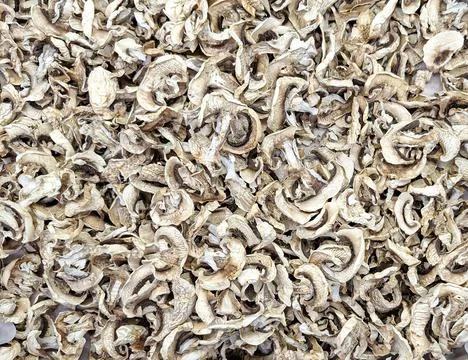 Dehydrated sliced button mushrooms ready for culinary use or food storage i.. Fotos de archivo
