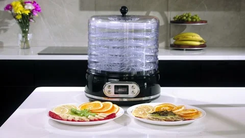 Dehydrator and fruit plate Stock Footage 221427395