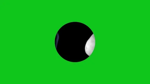 Deimos icon animated video Stock Footage 294401093