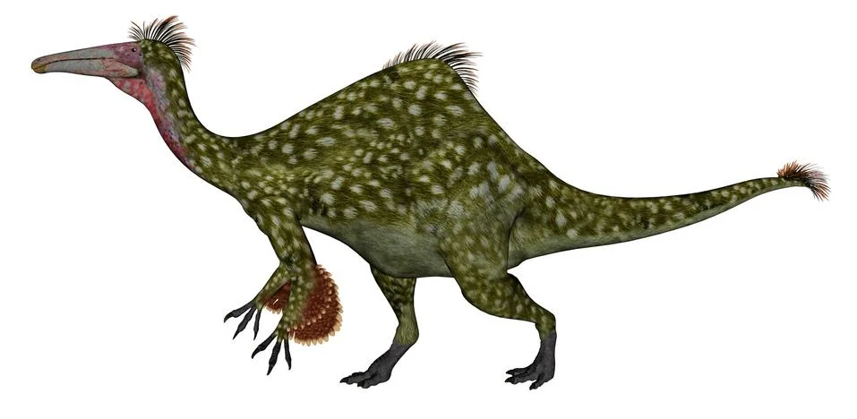 Deinocheirus dinosaur - 3D render Stock Illustration