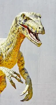Deinonychus dinosaur Stock Photos